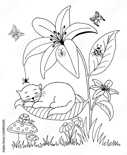 Vector illustration zentangl. The kitten sleeps on a lily leaf. Coloring book. The work was done manually. Anti Stress for adults and children. Black and white. photo