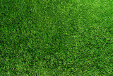 directly above shot of fresh green grass or lawn