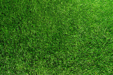 directly above shot of fresh green grass or lawn