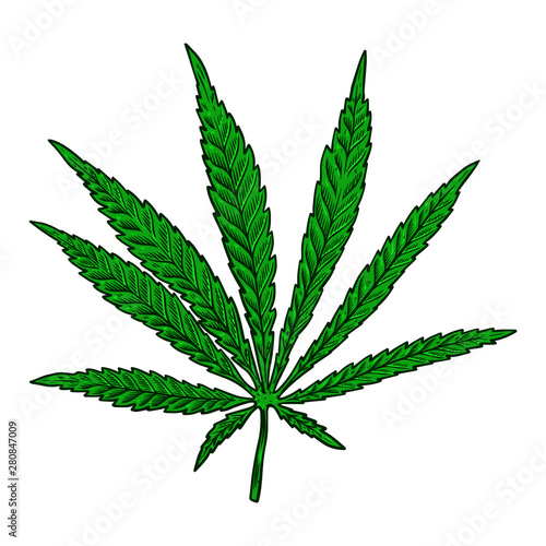 Illustration of cannabis leaf isolated on white background. Design element for poster, banner, t shirt, emblem. Vector illustration