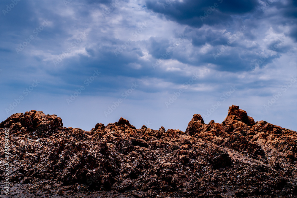 Obraz premium SONY DSC