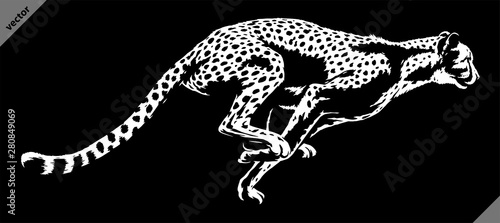 black and white linear paint draw cheetah illustration art