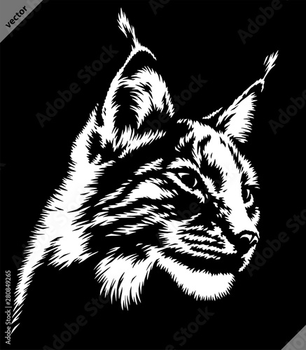 black and white linear paint draw lynx illustration art