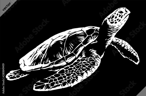 black and white linear paint draw turtle illustration art