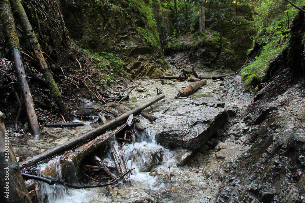 A wet trail running through streams in the Slovak Paradise National Park A wet trail running through streams in the Slovak Paradise National Park