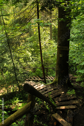 A trail leading through more forest places in the Slovak Paradise National Park