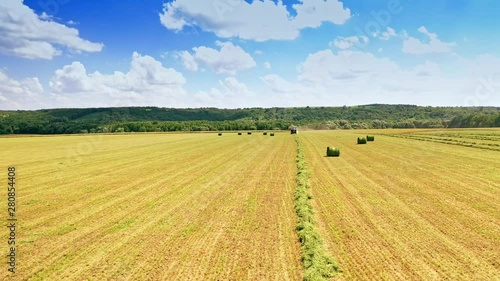 Wallpaper Mural Beautiful agricultural landscape on the field in bright summer day. Seasonal works for preparing fodder for animals. Camera moves forward. Torontodigital.ca