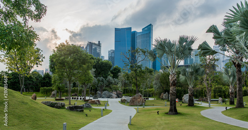 Photography Downtown view from beautiful green city park at dawn.
