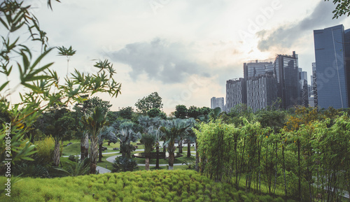 Green park sunny morning. Cityscape, landscape, background.