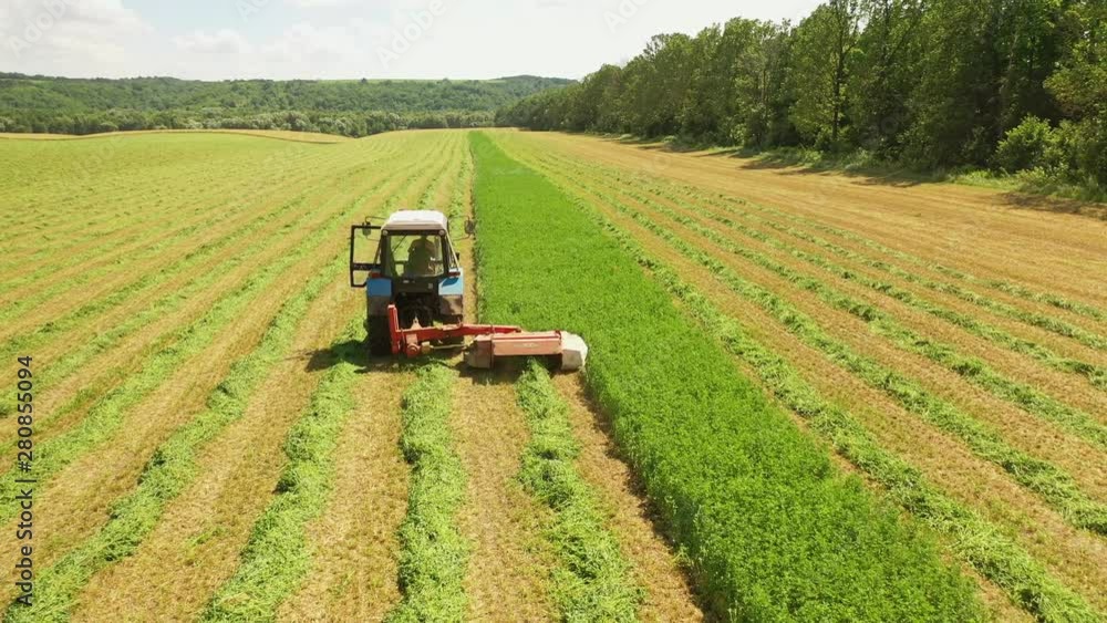 Tractor mowing down green grass on the field. Agricultural process of preparing fodder for livestock in countryside in summer day. Tractor mowing down green grass on the field. Agricultural process of preparing fodder for livestock in countryside in summer day.