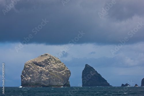 Isla Stac Lee y Stac an Armin. Colonia de alcatraz. Archipielago St. Kilda. Outer Hebrides. Scotland, UK