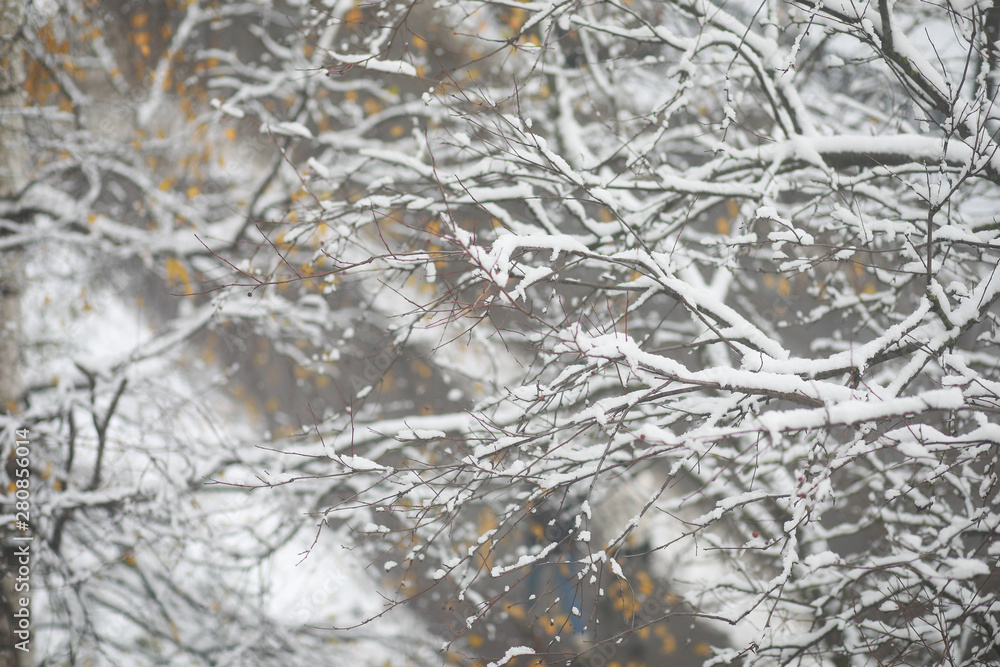 Winter Park. Landscape in snowy weather. January. Winter Park. Landscape in snowy weather. January.