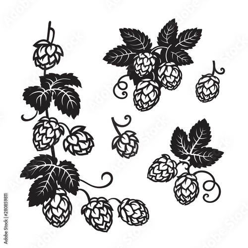 Branches of hops. Set of elements for brewery design. Hop cones with leaves icons. Hand drawn vector illustration on white background.
