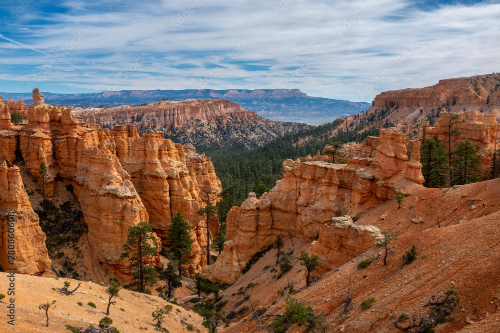 The stunning Bryce Canyon in all its glory taken from the canyon floor, amazing limestone hoodoo with various shades of oranges and reds.