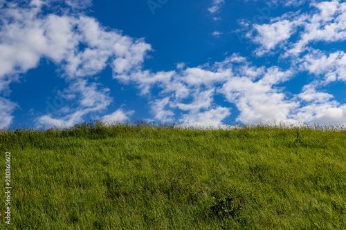 A beautiful summer hill landscape scene. The hill is covered in lush green grass topped with a bright blue sky and a scattering of fluffy brilliant white cumulus clouds.