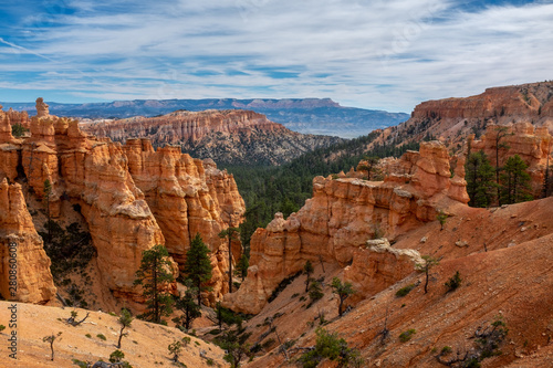 The stunning Bryce Canyon in all its glory taken from the canyon floor, amazing limestone hoodoo with various shades of oranges and reds. © Wise Dog Studios