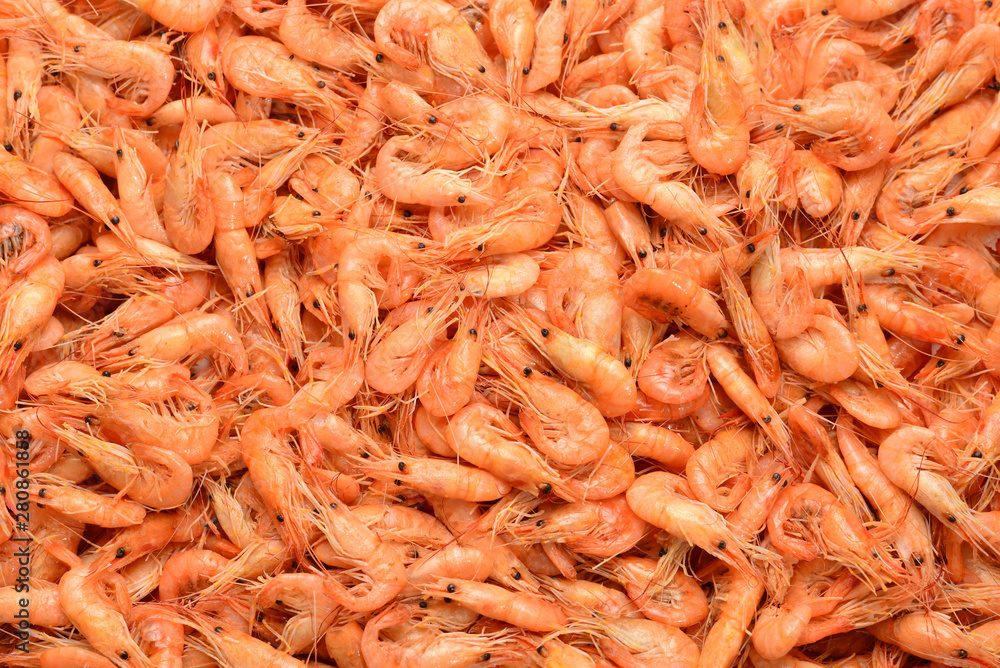Tasty fresh shrimps as background. Tasty fresh shrimps as background.