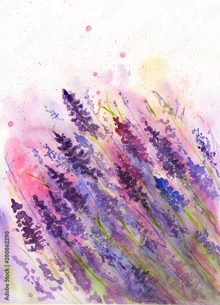  Watercolor picture of   vivid purple lavender flowers in wet technique - obrazy, fototapety, plakaty 
