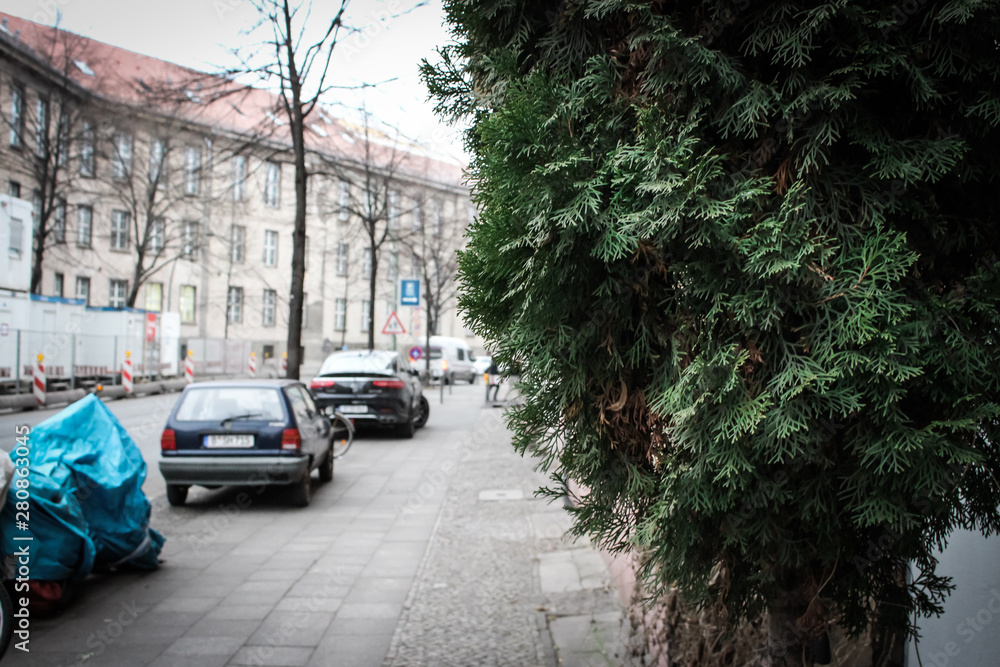 Obraz premium The cityscape of suburban Berlin, Germany. The close up of tree in blurred background of street in cloudy sky with strange atmosphere. 
