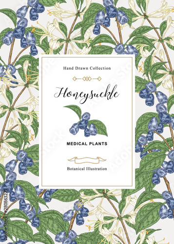 Floral card with honeysuckle plant. Hand drawn flowers and berries and leaves of honeysuckle. Vector illustration botanical.