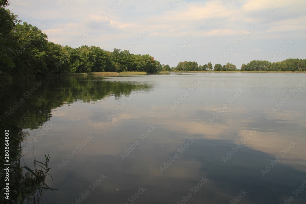 See im Spreewald See im Spreewald