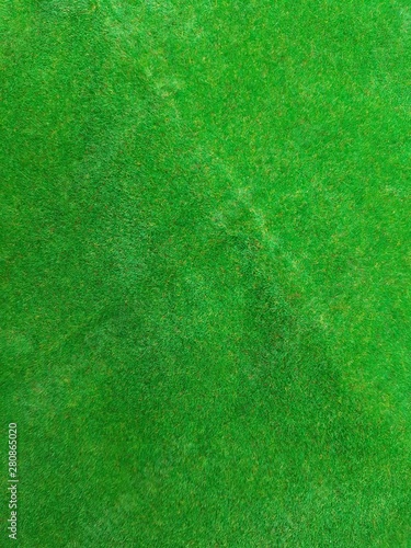Fresh Green grass texture background