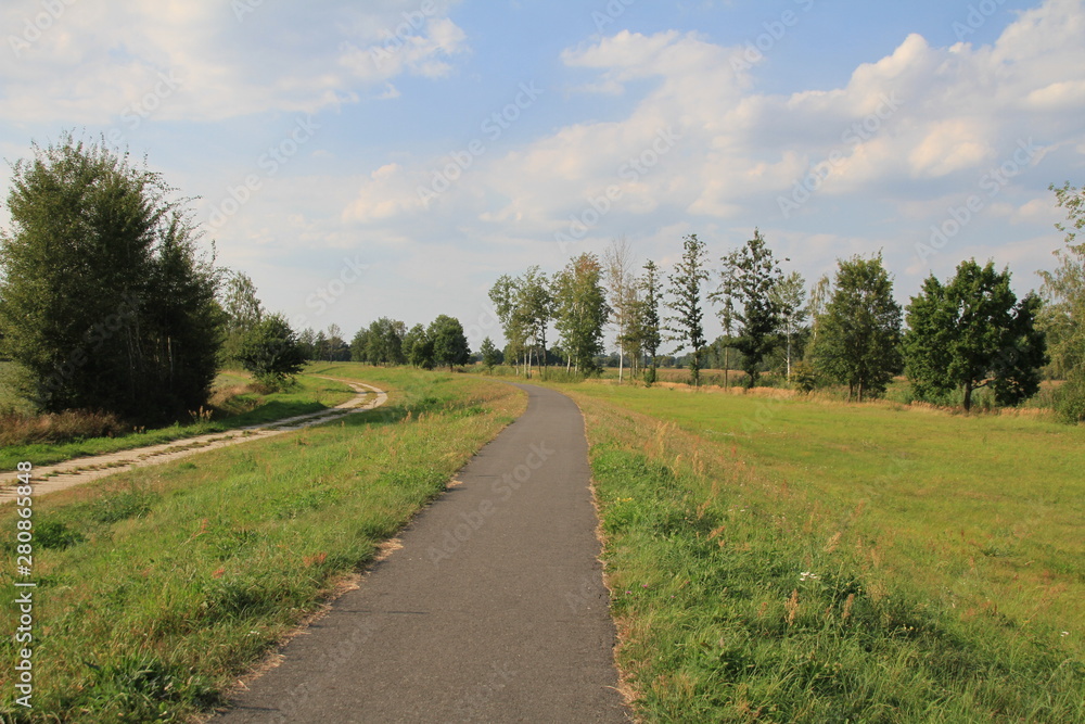 Fahrradweg im Spreewald