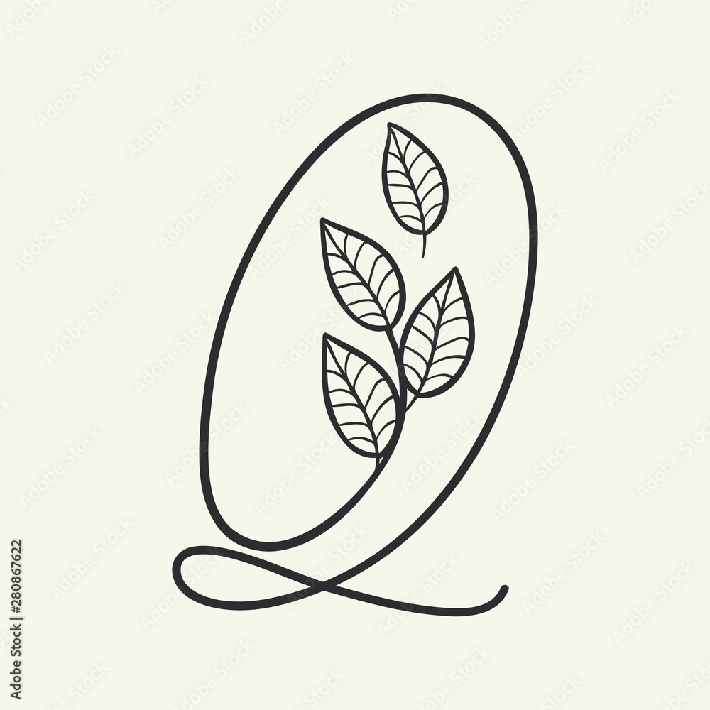 Calligraphy alphabet. Decorative handwritten font. Vector letter Q decorated with leaves, florals. Wedding calligraphy. ABC for your design. Floral lettering. Monogram, Logo Branding Calligraphy alphabet. Decorative handwritten font. Vector letter Q decorated with leaves, florals. Wedding calligraphy. ABC for your design. Floral lettering. Monogram, Logo Branding