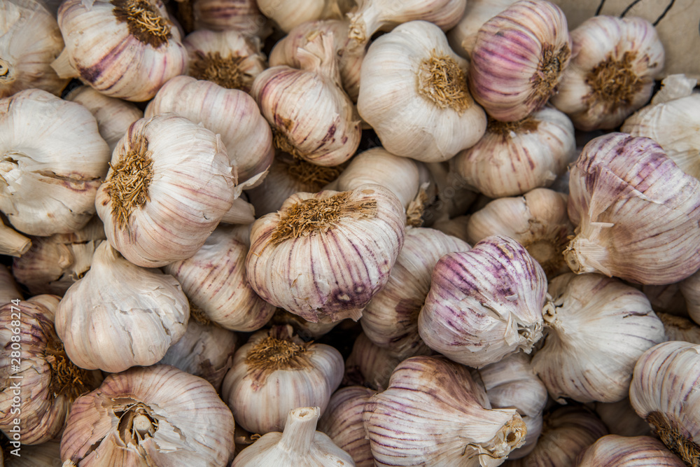 Garlic bulbs background Garlic bulbs background