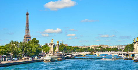 Leinwandbilder Pont Alexandre III Pont Alexandre III mit Eiffelturm Blick  © marako85
