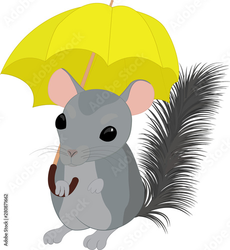 Vector cartoon style illustration of chinchilla and yellow umbrella. Isolated on white background.