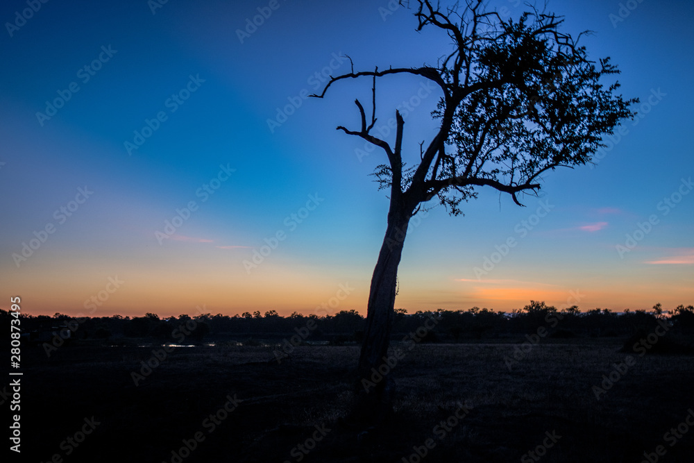 Sonnenuntergang am Luangwa River Camp Sonnenuntergang am Luangwa River Camp