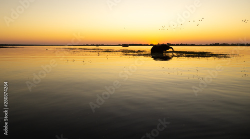sunset on chobe