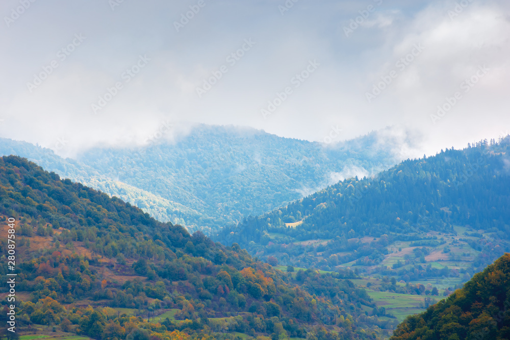 beautiful countryside on a rainy day in mountains. forested hills in fall foliage. overcast sky above the ridge. haze and mist in the valley. rural area of carpathians, uzhok, ukraine