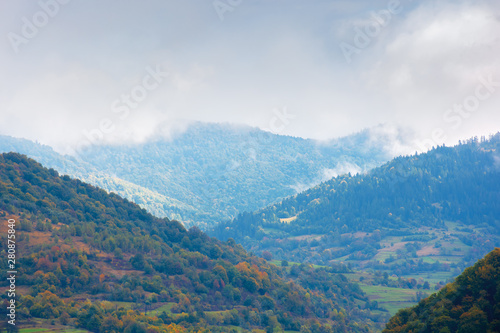 beautiful countryside on a rainy day in mountains. forested hills in fall foliage. overcast sky above the ridge. haze and mist in the valley. rural area of carpathians, uzhok, ukraine © Pellinni