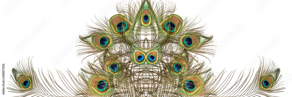 Obraz premium Beautiful exotic peacock feathers on white background