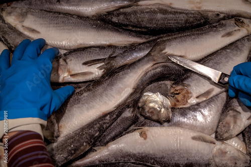 Frozen layered fish