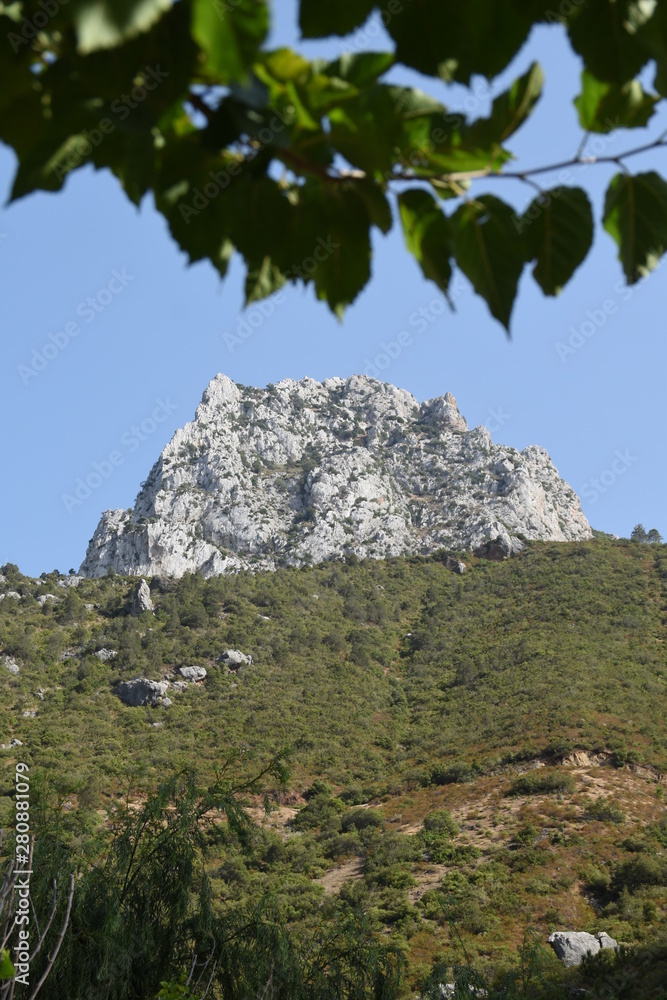 Mountain with a green cover and behind a tree nature of Morocco Mountain with a green cover and behind a tree nature of Morocco