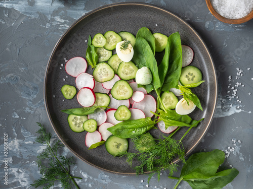 Light vegetable appetizer of cucumbers, radishes and spinach on round plate