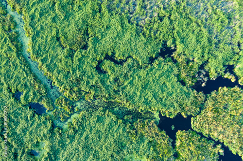 view from height of the water and vegetation of the swampy area, greenery with water spots, view from drone photo