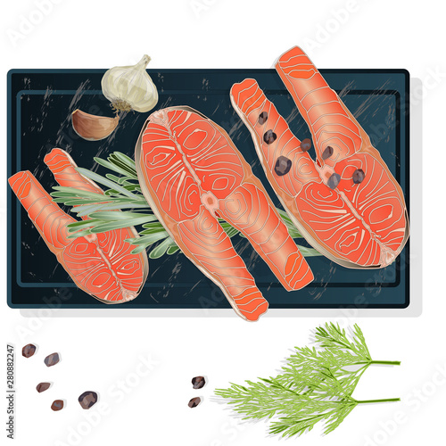 Raw salmon fillets with herbs on wooden desk. White background. Vector illustration
