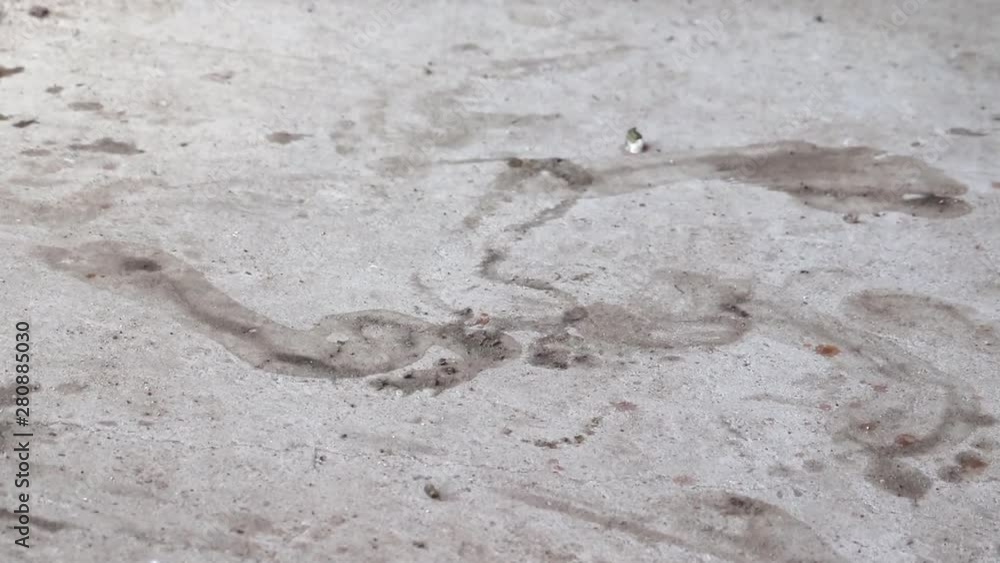 CLOSE UP Of Man Walking Barefoot On Concrete With Muddy Feet.
Locked Off CLOSE UP Of Man Walking Barefoot On Concrete With Muddy Feet.
Locked Off