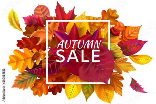 Fall sale banner. Autumn season sales, autumnal discount and fallen leaves banners frame. October purchase advertising discounts, foliage fall school shopping advertising vector illustration