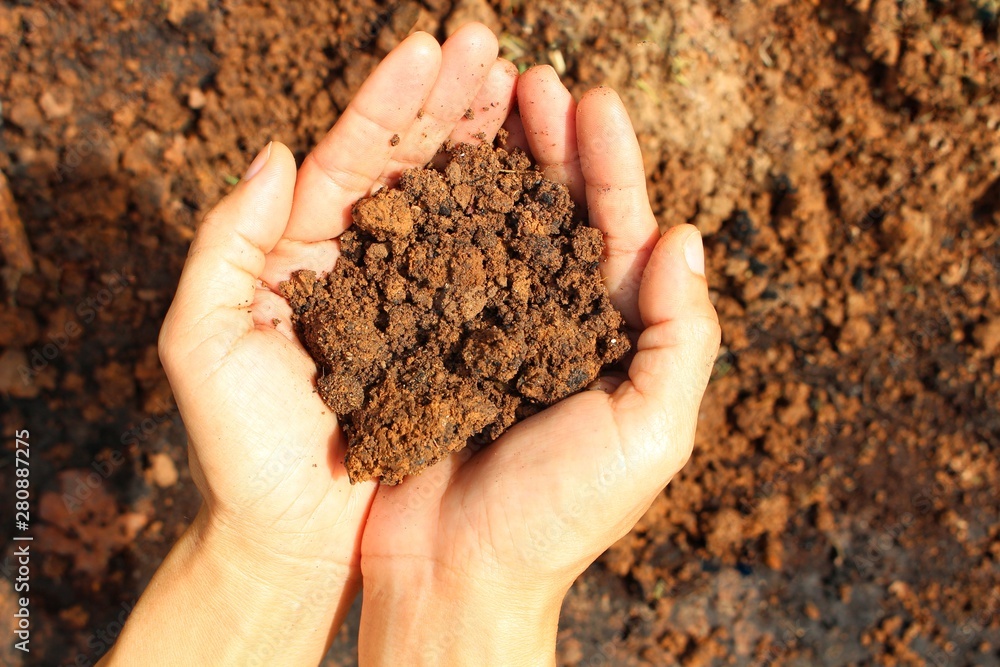 Young women clutching the soil in the hands, brown soil background Young women clutching the soil in the hands, brown soil background