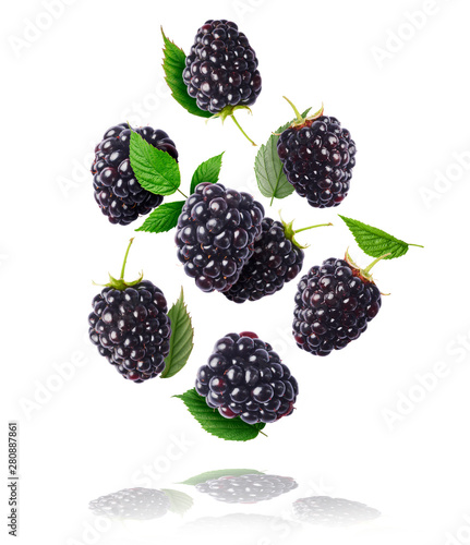 Fresh ripe raspberries, green leaves and flowers flying in the air isolated on white background.