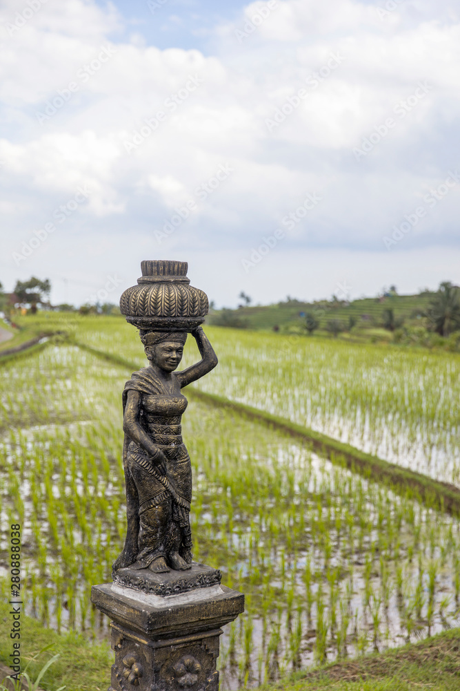 Obraz premium Female sculpture at rice fields of Jatiluwih in southeast Bali