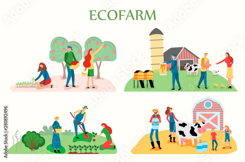 Eco farm theme. Friendly Carrying of domestic animals on the farm: cows, sheeps, chickens and bees. Manual picking of apples and different vegetables by workers
