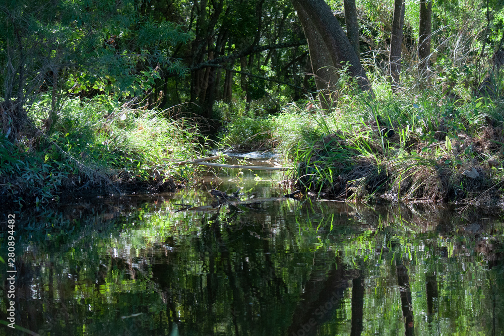 Obraz premium Little Pond