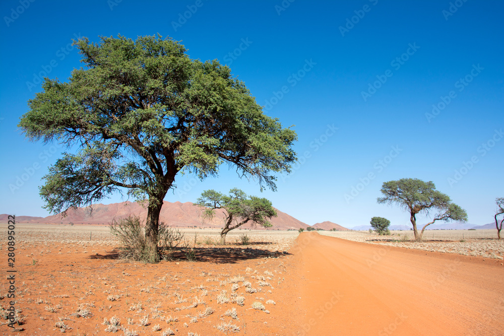 road trip namibia game farm and namib desert road trip namibia game farm and namib desert