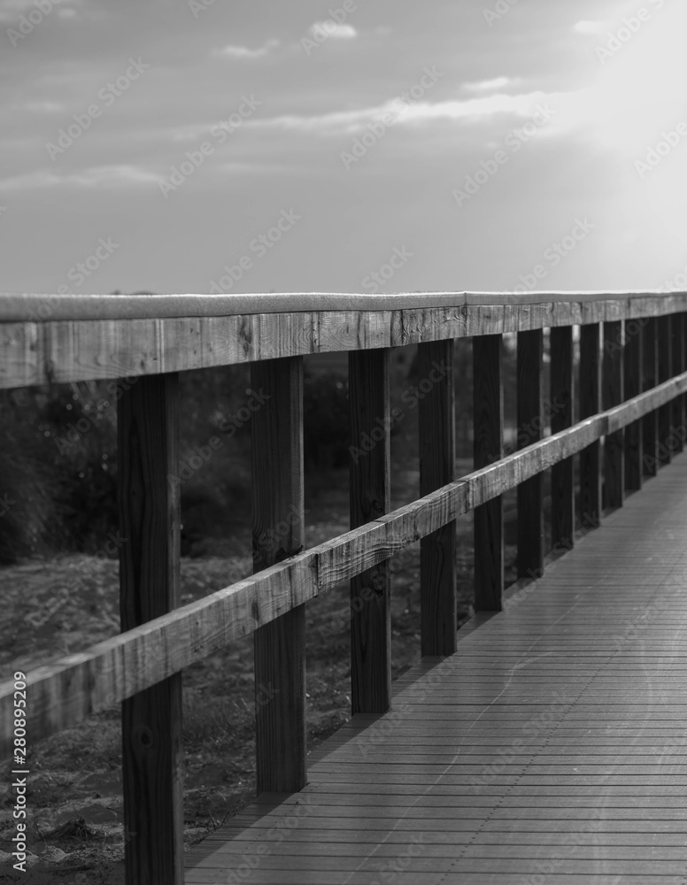 wooden bridge over the marsh